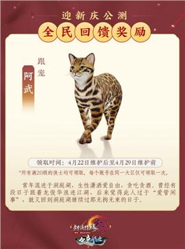 天龙八部3私服13魔法
